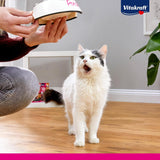 Vitakraft Poésie Création, Tender Selection, Comida húmeda para gatos, Comida húmeda para gatos en salsa, con pollo, con pavo, con ternera, sin azúcares añadidos y cereales (1 paquete de 6 x 85g)