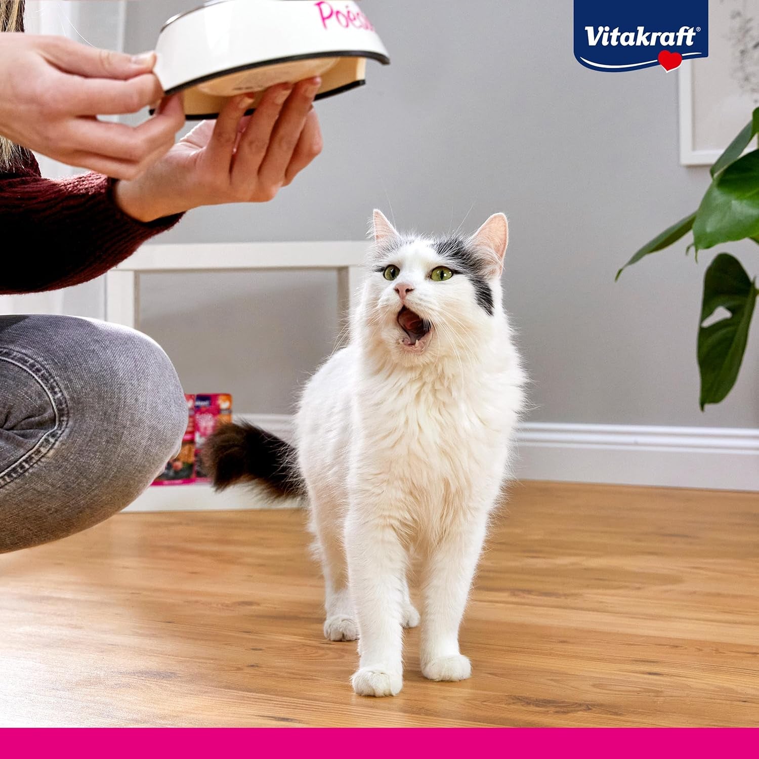 Vitakraft Poésie Création, Tender Selection, Comida húmeda para gatos, Comida húmeda para gatos en salsa, con pollo, con pavo, con ternera, sin azúcares añadidos y cereales (1 paquete de 6 x 85g)