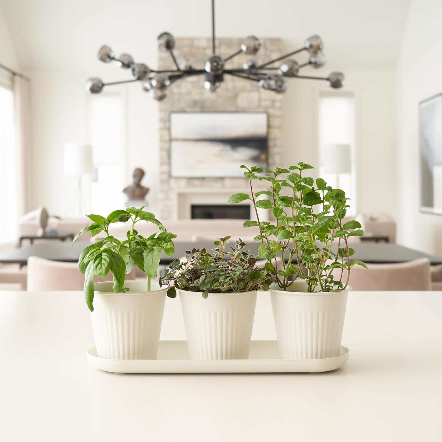 Juego de 3 hermosas macetas de jardín con hierbas, perfectas para cualquier alféizar de ventana o mostrador de la cocina, un moderno juego de jardineras decorativas que incluye bandeja y...