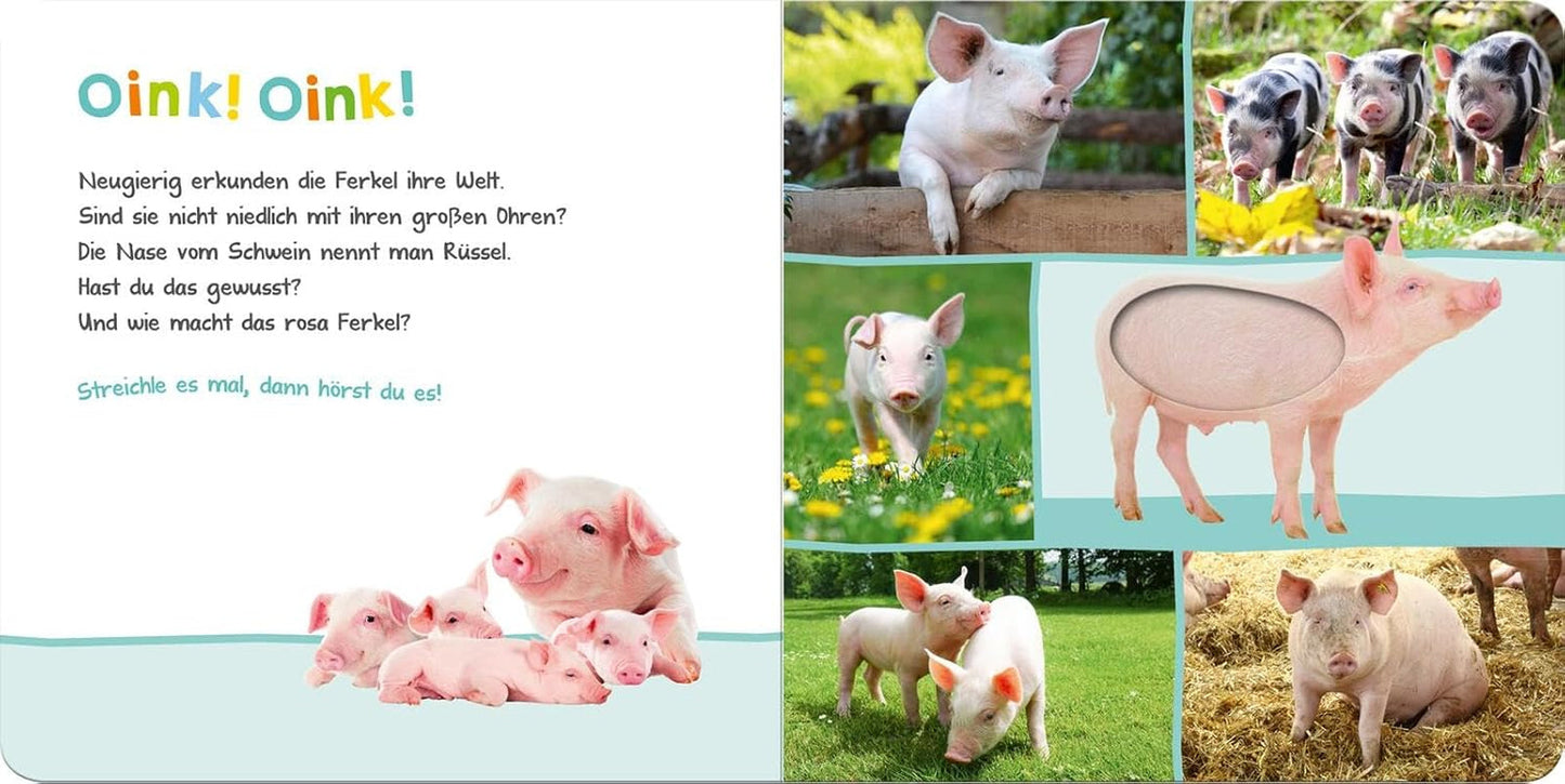 Escucha, ¿quién podría ser? - Animales de granja: acaricia y escucha | Libro ilustrado de cartón de alta calidad con 5 sonidos y elementos táctiles para niños mayores de 18 meses Baby Toys Naty Shop
