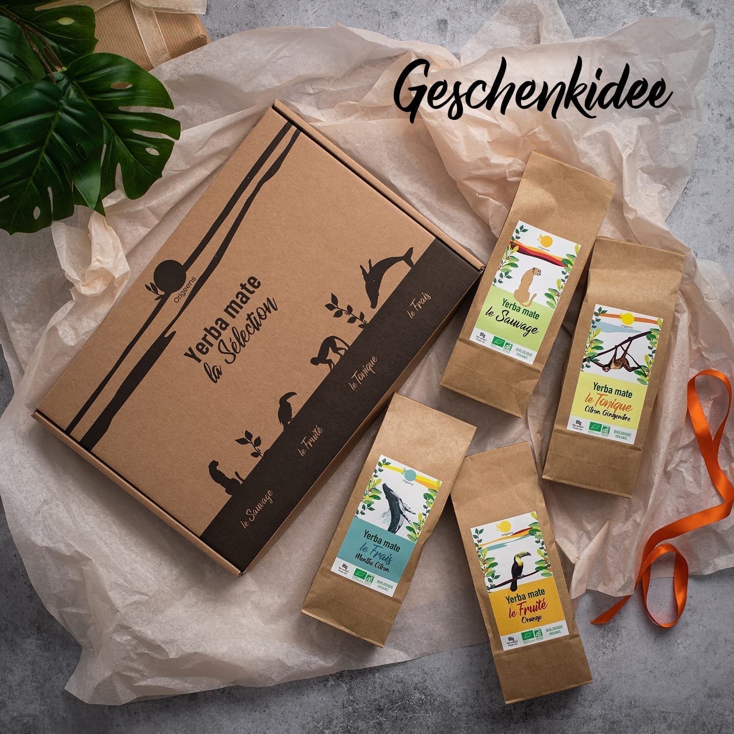 ORIGEENS SET REGALO TÉ BIO MATE X4 I Yerba Mate Bio 4X80G I Set té Yerba Mate, idea regalo