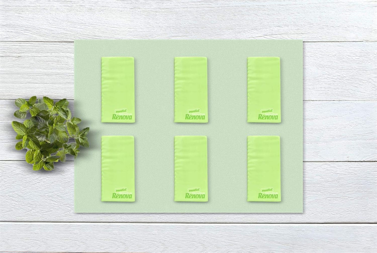 Pocket Tissues Renova SENSITIVE MENTHOL 6 Pack Regular Blanco 1 pieza (Paquete de 6)