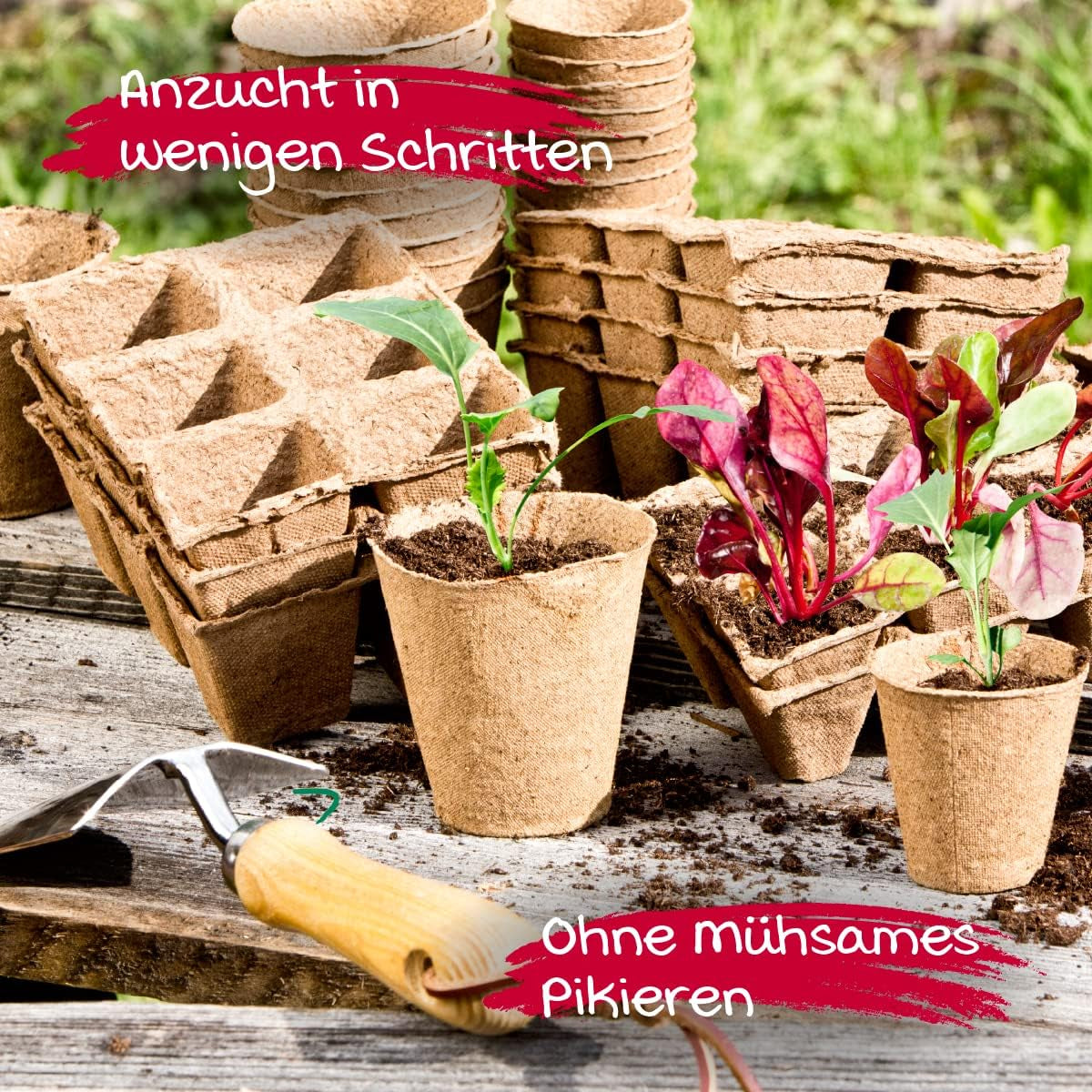 Macetas para plántulas Windhager, 48 piezas, 8 cm de diámetro, marrón, sin turba, 04343