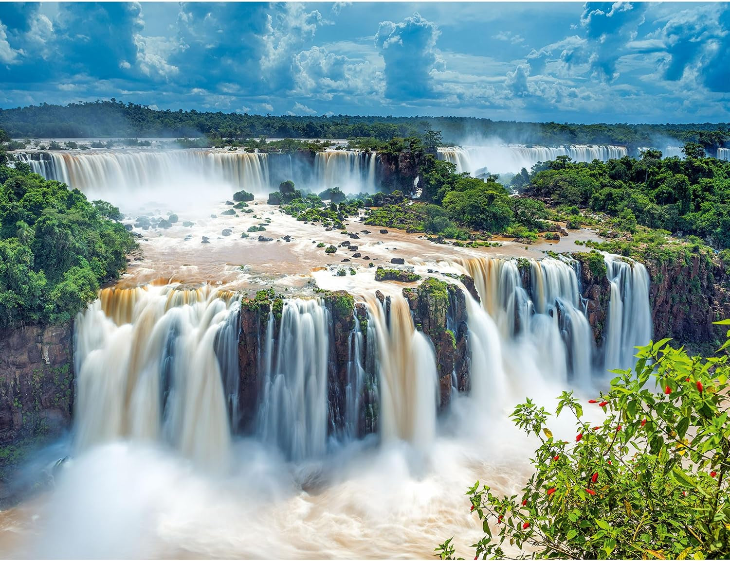 Ravensburger Puzzle 16607 - Cataratas del Iguazú - Puzzle de 2000 piezas para adultos y niños mayores de 14 años Puzzle Naty Shop Single