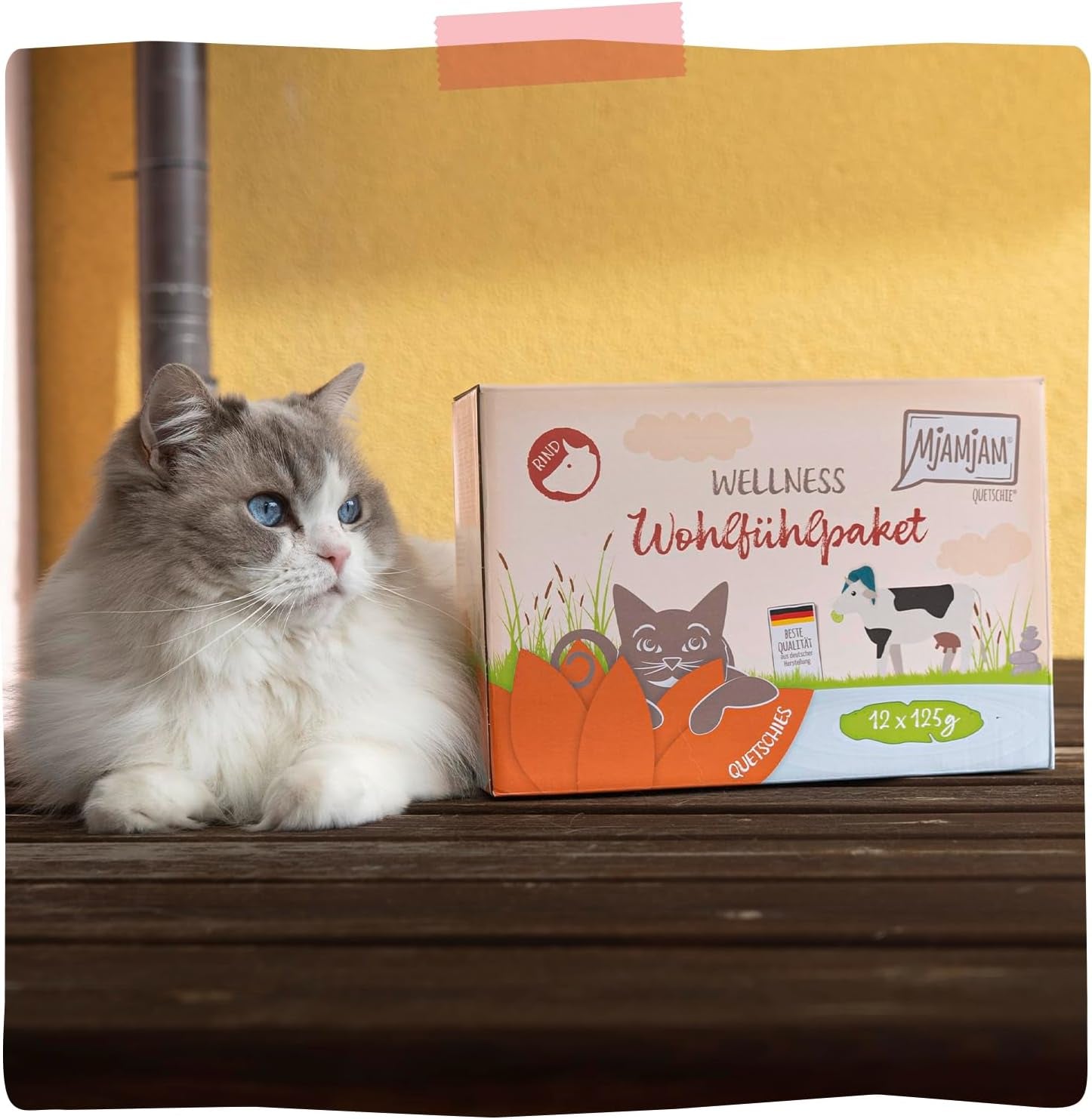 MjAMjAM - Comida húmeda premium para gatos - Wellness Pack Carne de vacuno, paquete de 12 (12 x 125 g), sin cereales y con carne extra