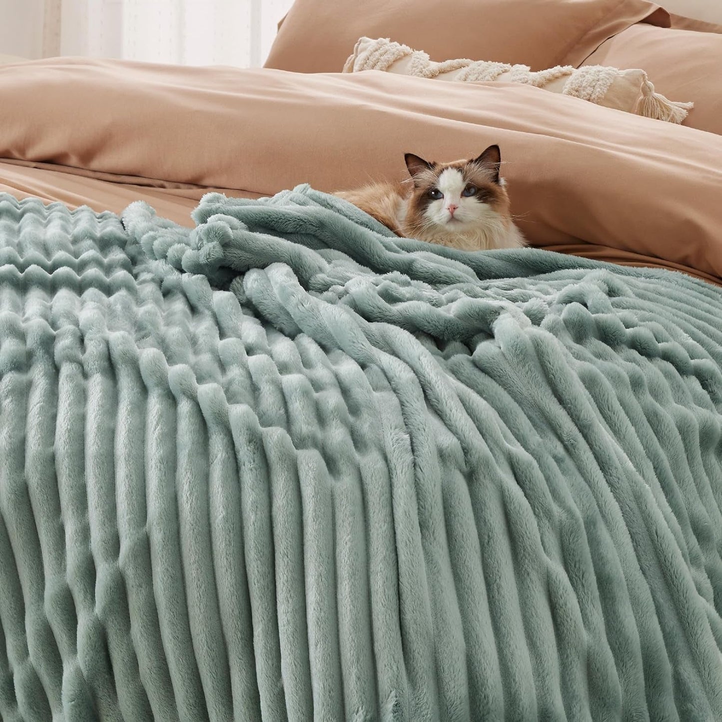 BEDSURE Manta Polar Verde Salvia para Sofá - Mantas Acogedoras Súper Suaves para Mujer, Linda Manta Pequeña para Niñas, Camas y Mantas de 127 X 152 Cm Beuche den BEDSURE-Store