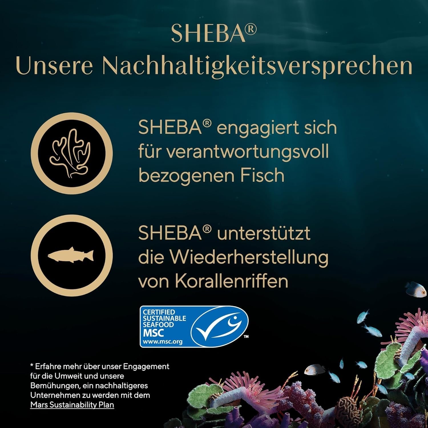 SHEBA Filetes Adultos Katzenfutter en Salsa con Pollo, Hochseefisch und Garnelen 16 x 60g Concha