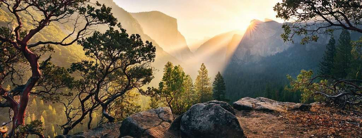 Ravensburger Puzzle 15083 - Parque Yosemite - Puzzle de 1000 piezas para adultos y niños mayores de 14 años en formato panorámico Puzzle Naty Shop