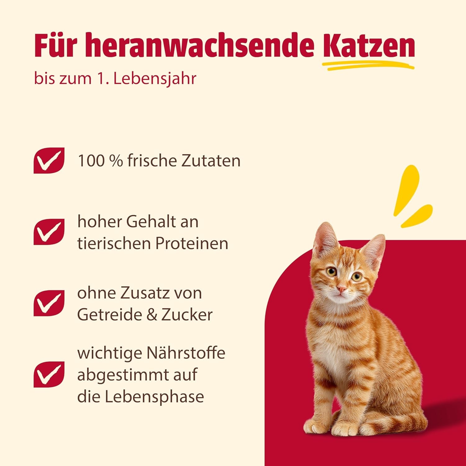 animonda Carny Katzen Nassfutter Kitten Chicken + Pute (12 x 400 g), Kitten getreidefreies Katzennassfutter ohne Zucker für wachsende Kätzchen bis 1 Jahr, mit frischen Ingredient