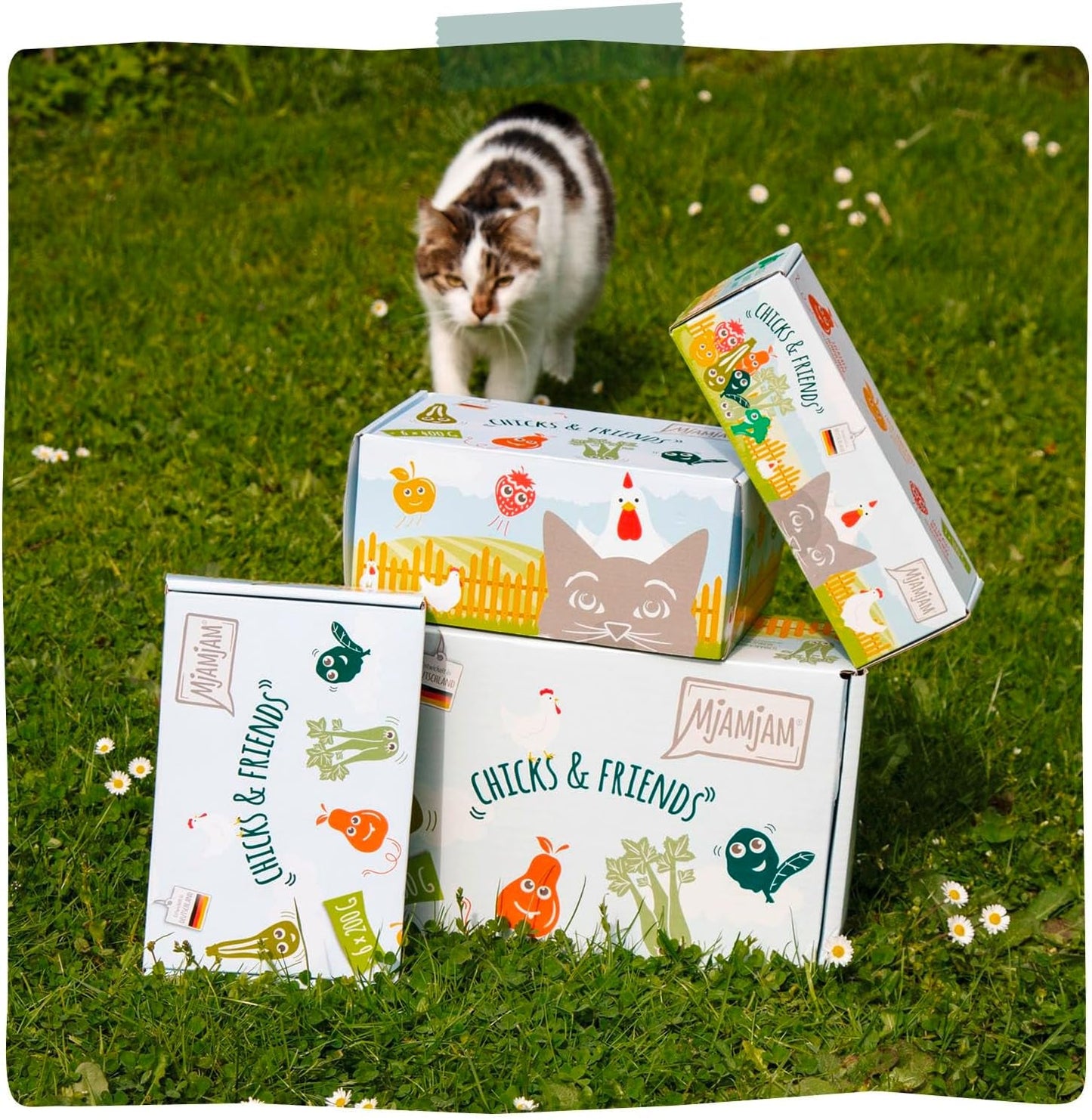 MjAMjAM - Premium Nassfutter für Katzen - Caja Chicks & Friends, paquete de 9 unidades (9 x 300 g), getreidefrei mit extra Fleisch