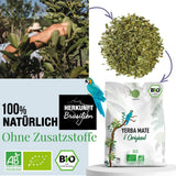 ORIGEENS BIO YERBA MATE TÉ 1 KG - El Original I Sin tostar, hojas, sin tallos, polvo ni migas I Bebida energizante y desintoxicante