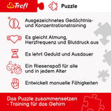 Trefl - Puzzle 2En1: Capitales Europeas - 2 X 500 Piezas - Juego De Dos Puzzles, Bricolaje, Entretenimiento Creativo, Para Adultos Y Niños 10+ Puzzle Naty Shop