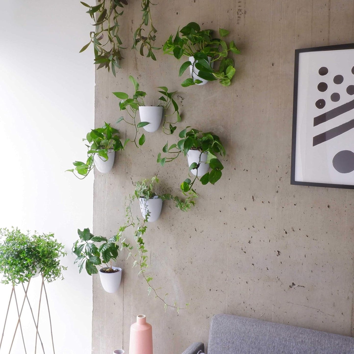 Macetas de pared con riego automático Virgo (juego de 6) - Fáciles de regar e instalar - Livianas - Crea tu propio jardín vertical - Macetas de pared para plantas de interior