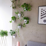 Macetas de pared con riego automático Virgo (juego de 6) - Fáciles de regar e instalar - Livianas - Crea tu propio jardín vertical - Macetas de pared para plantas de interior