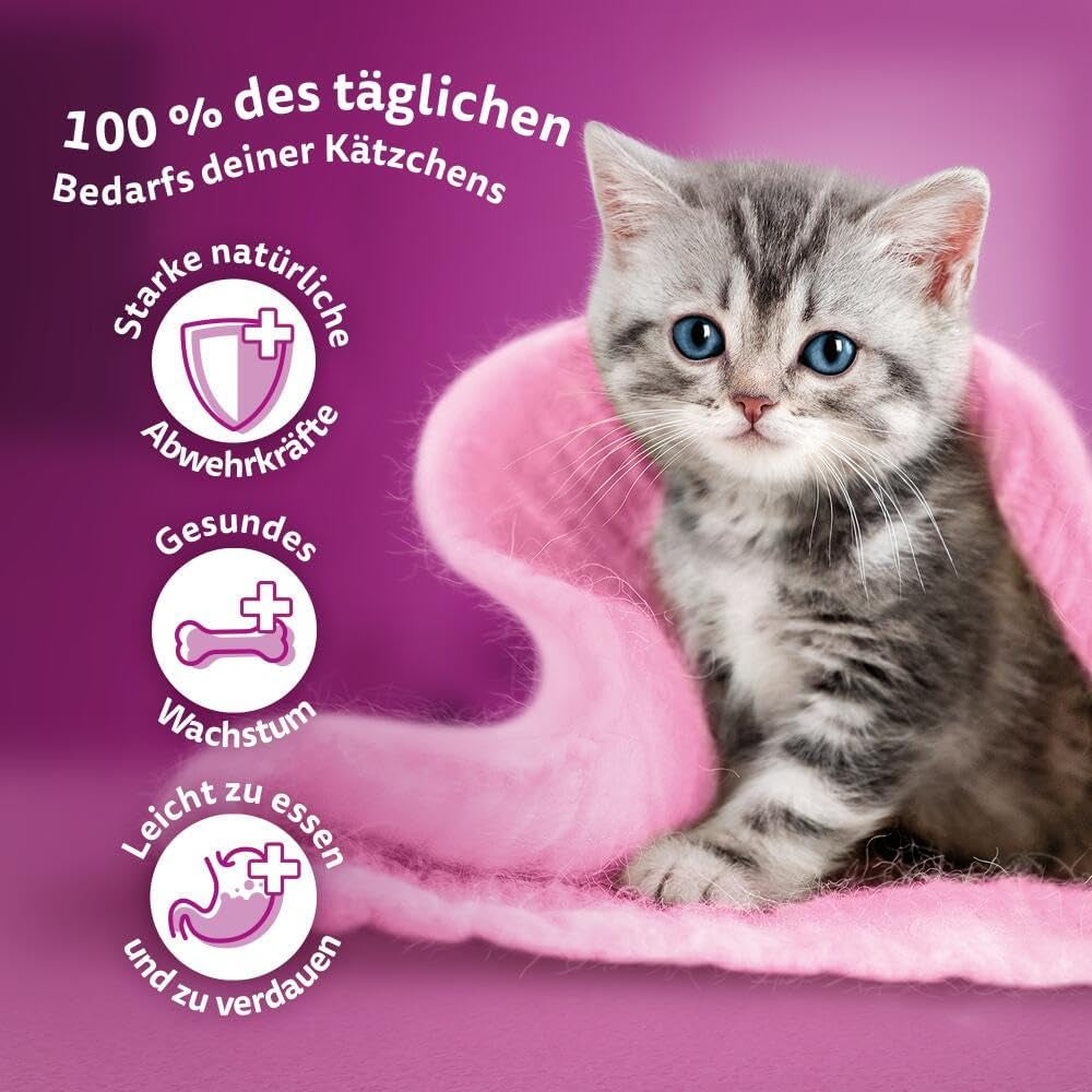 WHISKAS Junior Bolsitas de comida húmeda, paquete múltiple, selección de carne de ave en gelatina, 12 x 85 g