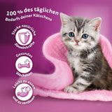 WHISKAS Junior Bolsitas de comida húmeda, paquete múltiple, selección de carne de ave en gelatina, 12 x 85 g
