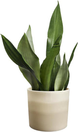 Maceta redonda elho Color Gradient 16cm - para uso interior - 100% plástico reciclado - Ø 15,9 x A 14,7 - gres beige/beige