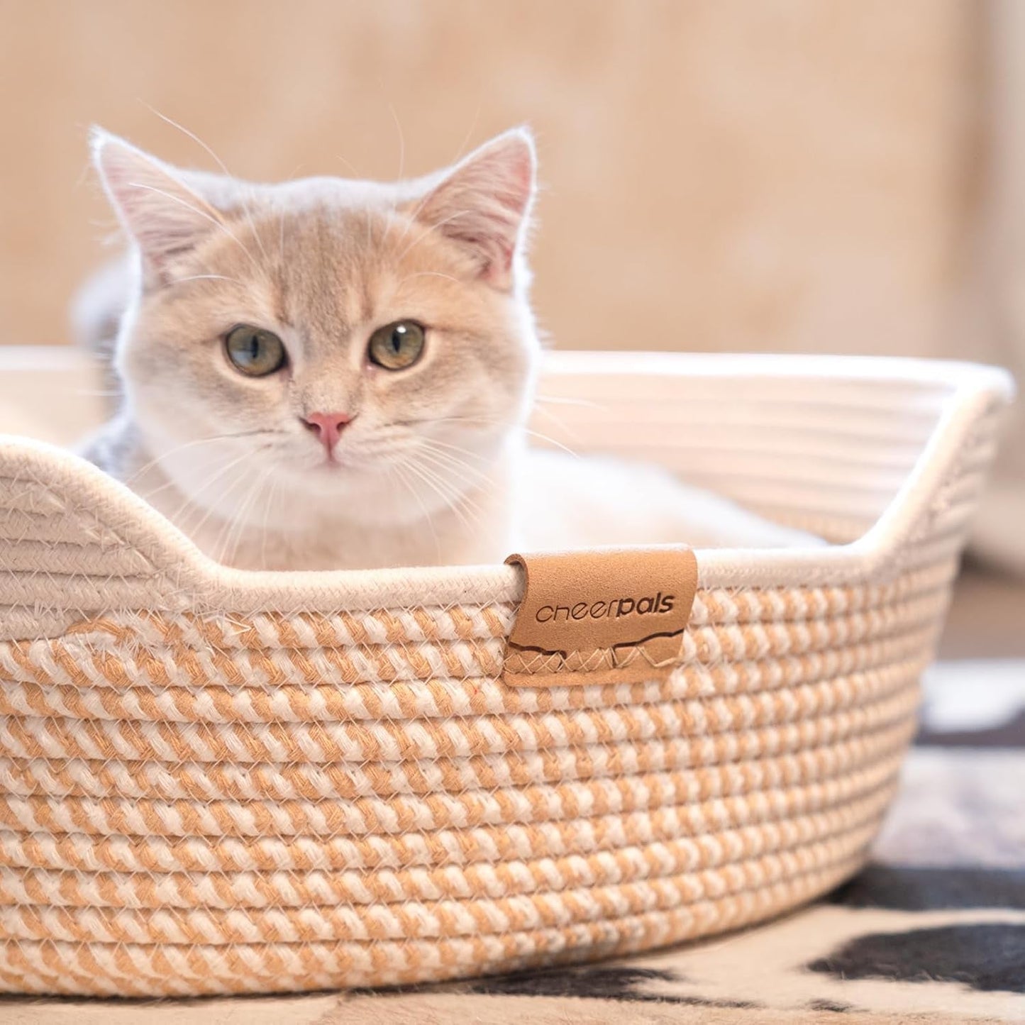 Camas, mantas y muebles, mascotas, gatos, camas para gatos, Gatos - camas, colchones