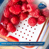 CARE + PROTECT Contenedor de alimentos inteligente, perfectamente apilable, organizador frigorífico, protege los alimentos de la humedad, mantiene los alimentos frescos por más tiempo, 2,15 l Cajas de conservación de alimentos Naty Shop