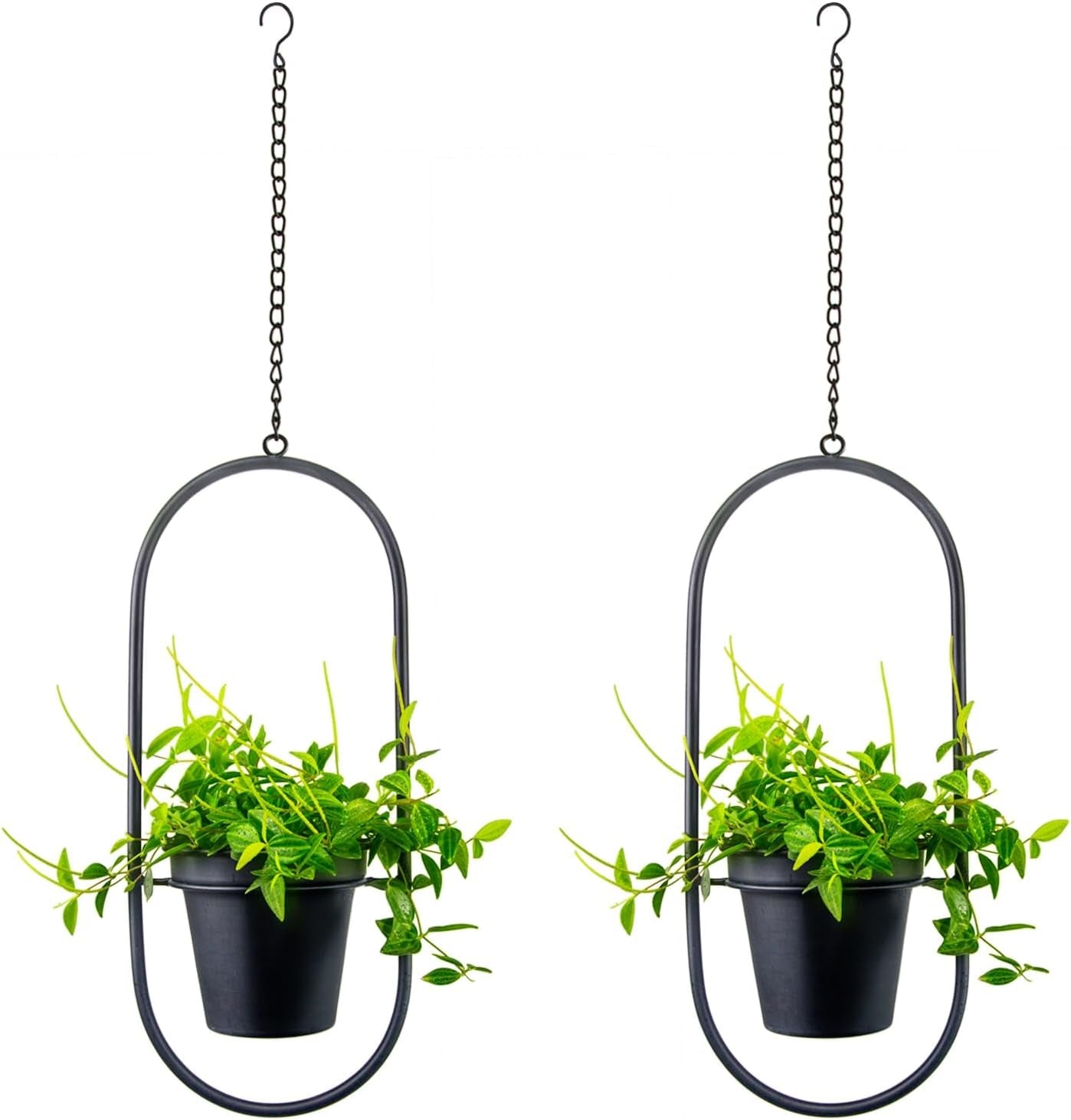 Macetas Colgantes de Metal 2 Piezas Colgador de Plantas geométrico Ovalado Negro con Macetas Jardinera Moderna de Pared y Techo Interior y Exterior 15,2 cm Macetas 2 Piezas