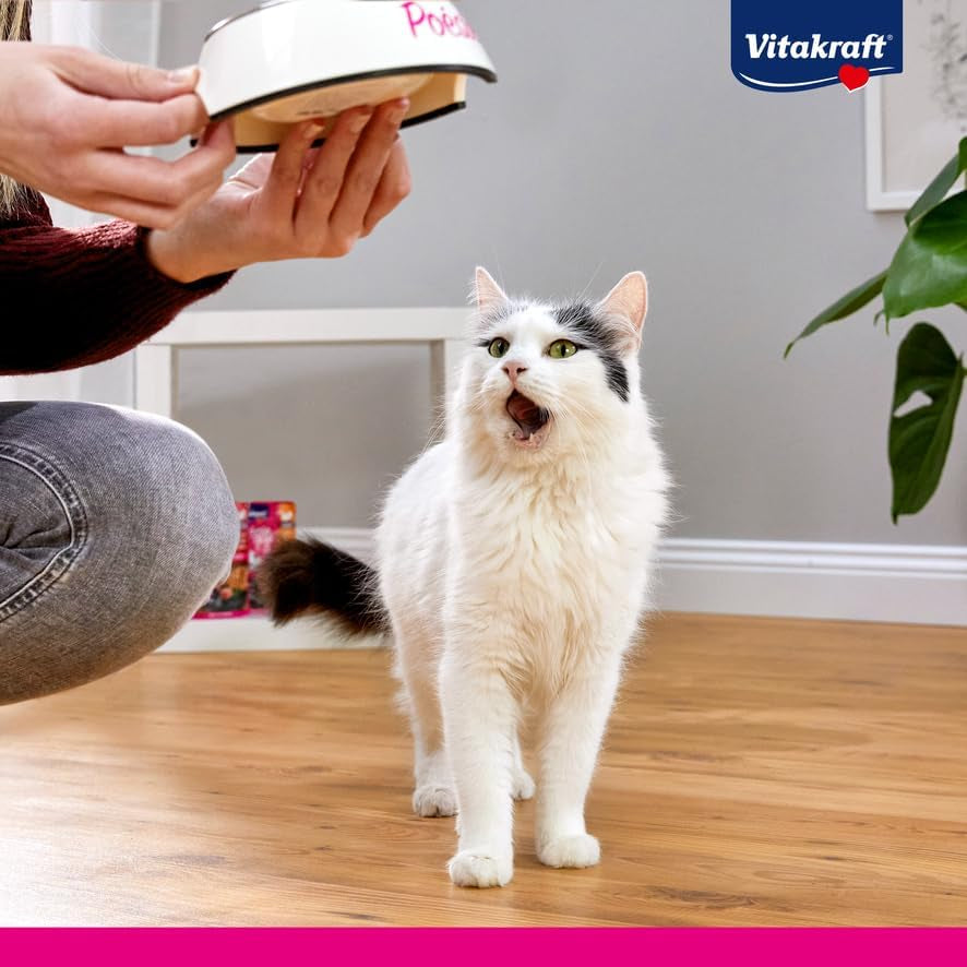 Vitakraft Poésie Création, comida húmeda para gatos, comida húmeda para gatos en salsa, con pavo en salsa de queso, multipack, sin azúcares ni cereales añadidos (15 x 85g)