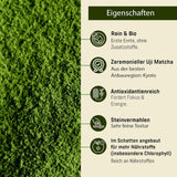 Grado Ceremonial UJI - Caja 30g - Bio - Matcha 100% Japonés - Primera Cosecha - Matcha Puro - Molido