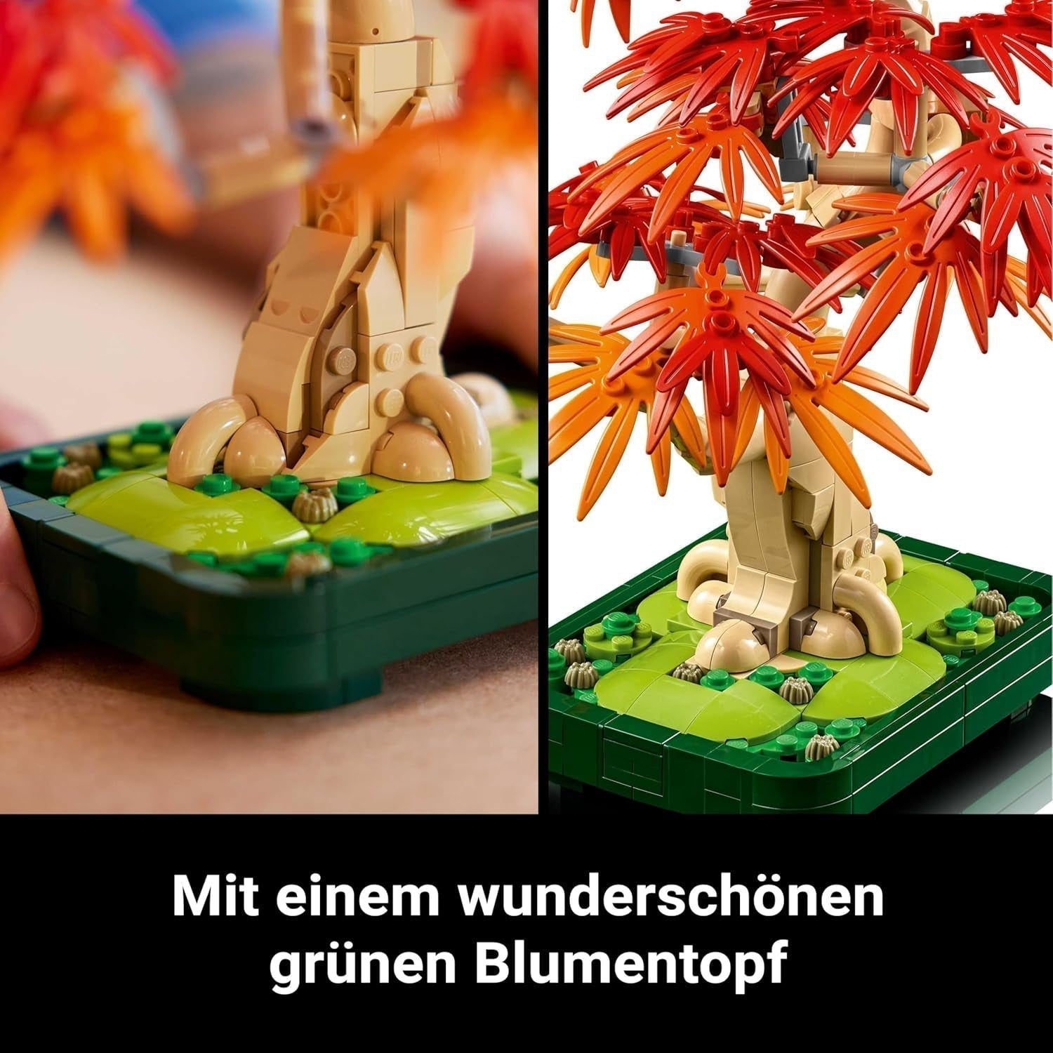 LEGO Botanicals Arce rojo japonés - Árbol bonsái - Kit de plantas artificiales con hojas rojas y naranjas, más cuenco - Decoración del hogar - Idea de regalo para adultos - 10348 Juegos de construcción Besuche den LEGO-Store