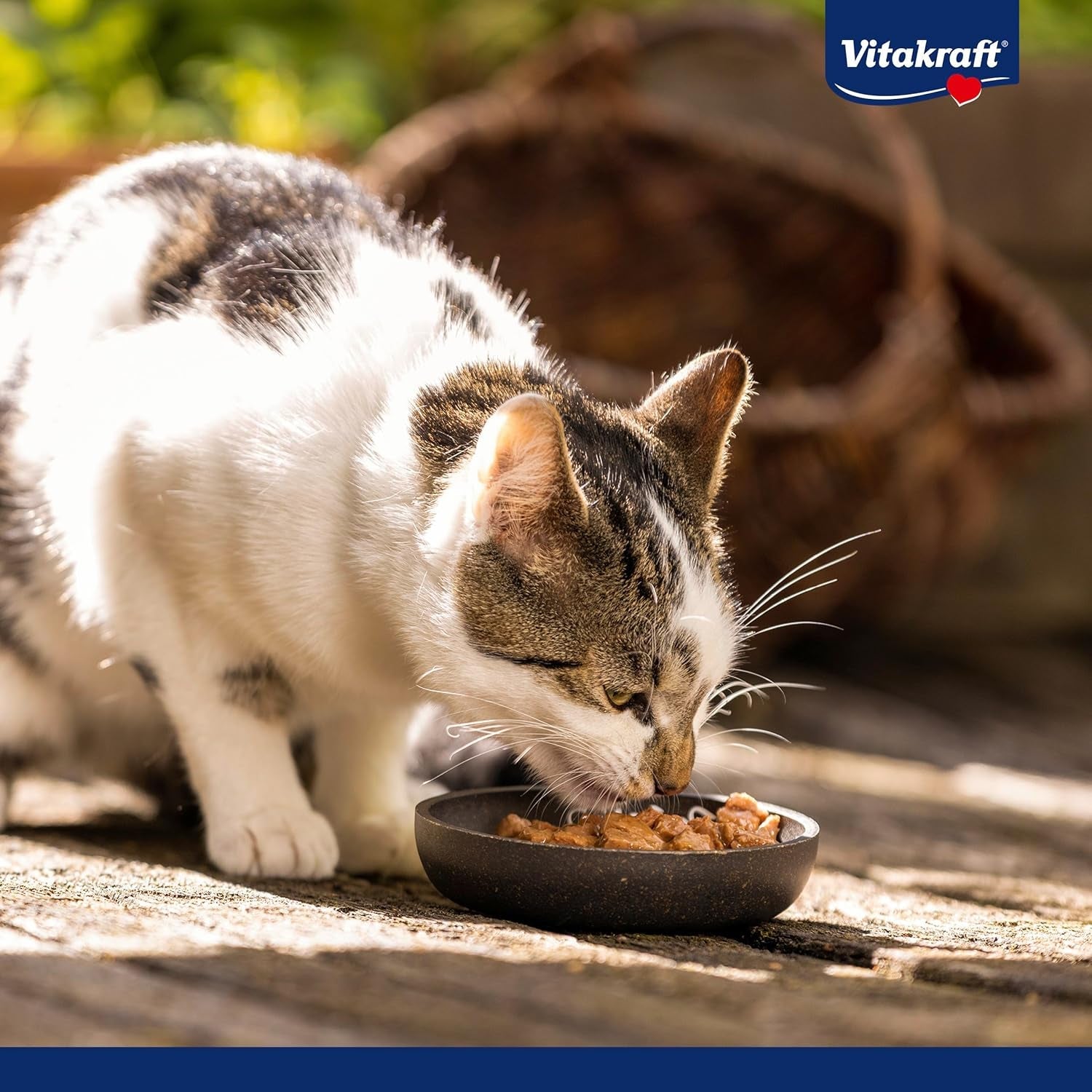 Vitakraft Poésie Création, comida húmeda para gatos, comida húmeda en salsa, con ternera y zanahoria, paquete a granel, sin azúcares ni cereales añadidos (15 x 85 g)