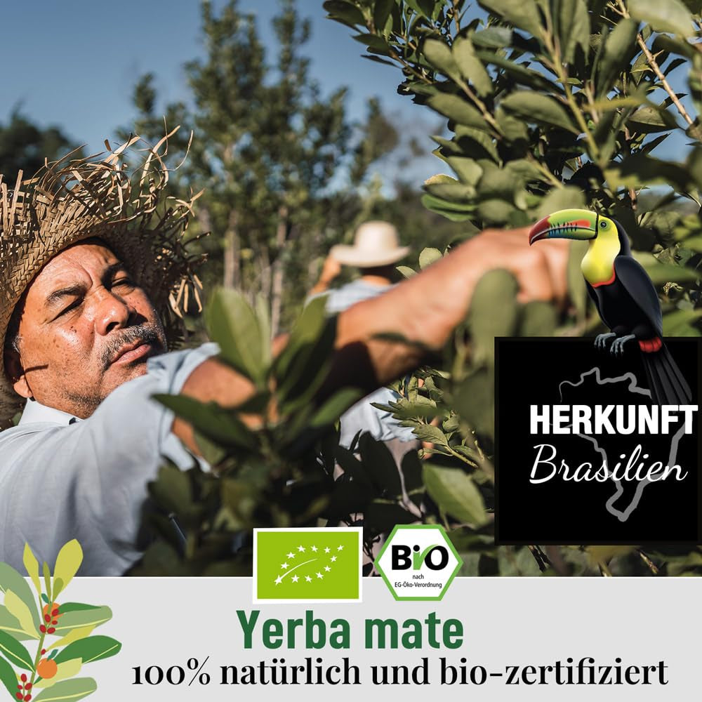 ORIGEENS BIO YERBA MATE con naranjas 200 G - Té frutal I Té de Yerba Mate orgánico sin tostar, sin tallos ni polvo I Bebida energizante y desintoxicante