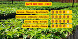 Caffè New York - XXXX - Café en grano entero - 1000g