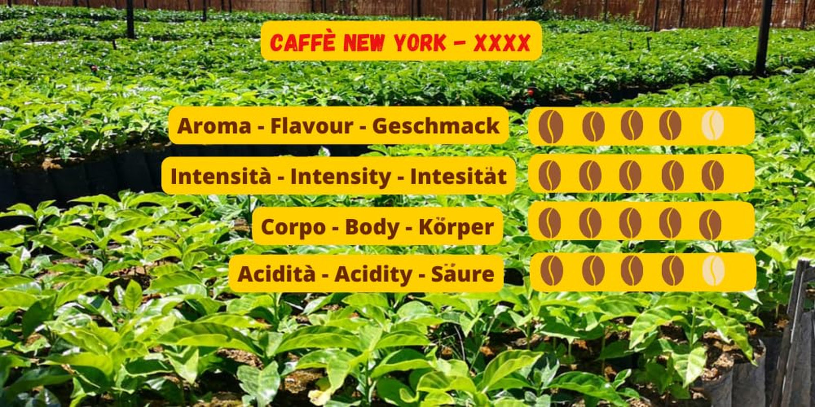 Caffè New York - XXXX - Café en grano entero - 1000g
