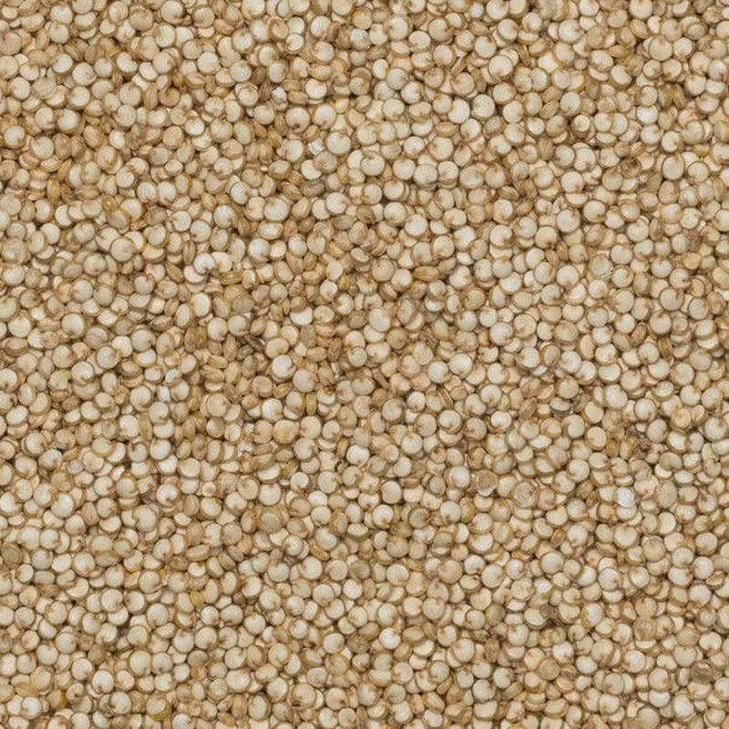 Granos de quinua orgánicos Wholefood Earth – 2 kg | Crueles | Sin OGM | Vegano | Rico en fibra | Certificado orgánico