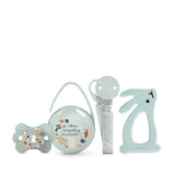 Set de regalo para recién nacido Suavinex. Set de 4 piezas que incluye: Chupete Physiological SX Pro para bebés 0-6 meses + portachupete + funda para chupete Duo + mordedor de silicona. País de las maravillas, beige