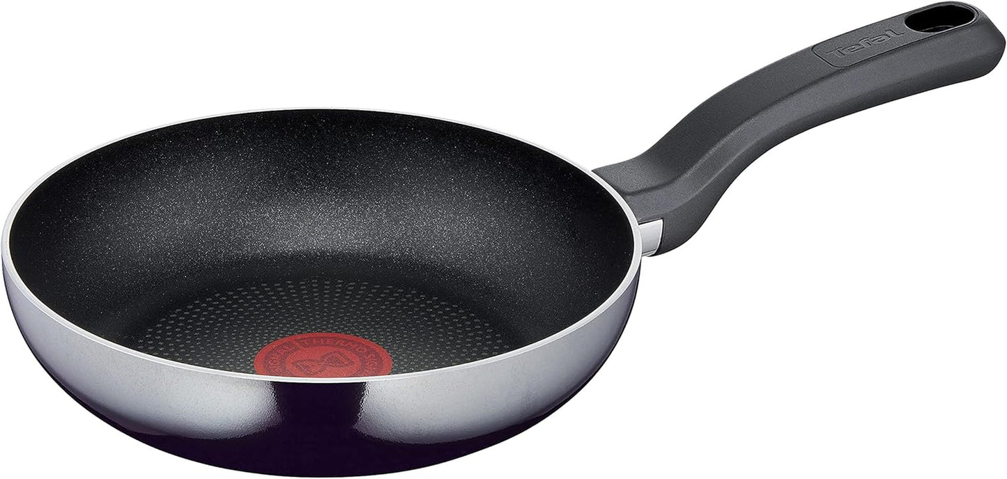 Tefal D52606 Resist, Revestimiento Antiadherente De Titanio Ollas Y Sartenes Naty Shop 20 Cm