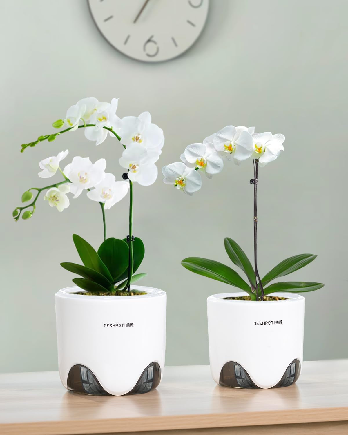 Maceta para orquídeas con orificios de drenaje para trasplantar, excelente circulación de aire, 2 piezas, plástico de doble capa, macetero de cerámica para orquídeas, maceta transparente para orquídeas, decorativa