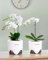 Maceta para orquídeas con orificios de drenaje para trasplantar, excelente circulación de aire, 2 piezas, plástico de doble capa, macetero de cerámica para orquídeas, maceta transparente para orquídeas, decorativa