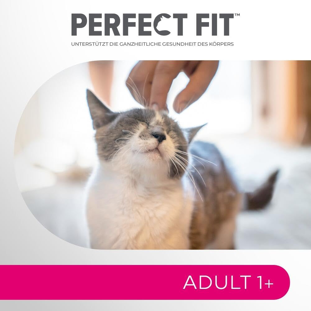 Perfect Fit Adult 1+ selección de comida húmeda con salmón, pescado de aguas profundas, ternera y pollo, 48 sobres, 12x85g (paquete de 4) - Comida húmeda premium para gatos adultos a partir de 1 año