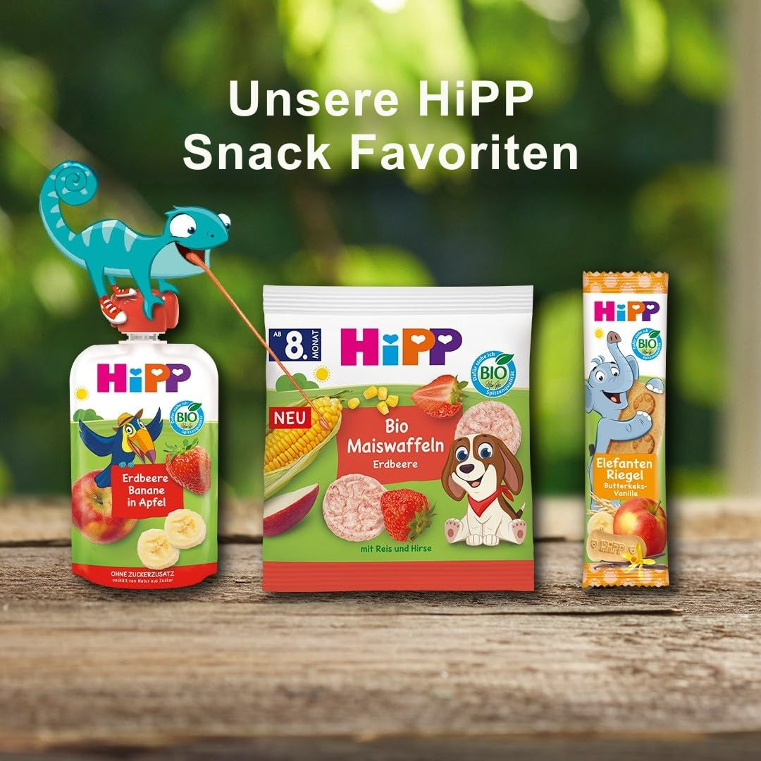 HiPP Bolsitas orgánicas de pera y ciruela, integrales, 16 piezas (4 paquetes de 4 x 90 g cada uno), para bebés a partir de 6 meses, sin azúcar añadido, vegano, la mejor calidad orgánica