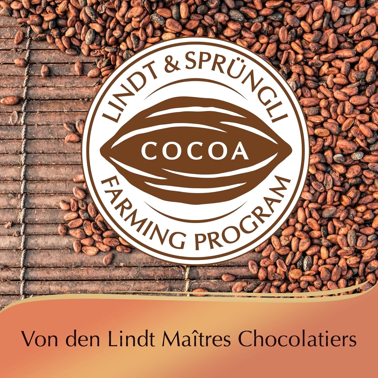 Chocolate Lindt | Caja de praliné criollo | 165g | 15 bombones en 4 deliciosas variedades, elaborados 100% con cacao fino, sin alcohol | Set de regalo de chocolates