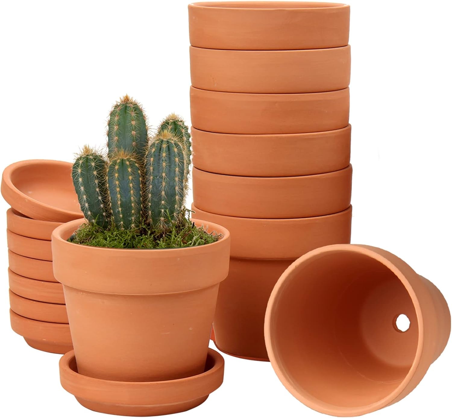 Hollyone Juego de 8 maceteros pequeños de terracota, maceteros redondos de arcilla de 8 x 8 cm con plato y orificio de drenaje, maceteros pequeños con bandeja, maceteros suculentos de terracota para plantas de interior, maceteros de cerámica