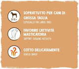 Monedas de muesli de Sammy | Snacks crujientes al horno para perros | Monedas de muesli de 5 cereales para tu amigo peludo grande (más de 30 kg) | 1 kilogramo