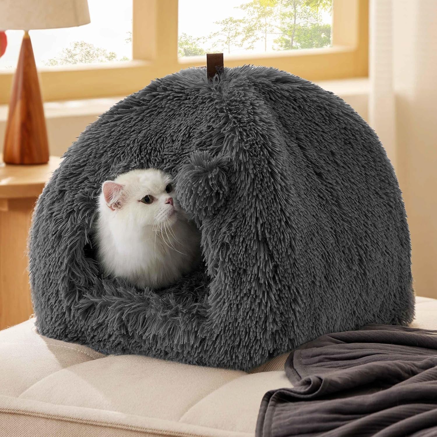 Mantas y Muebles, Mascotas, Casas y Cuevas, Gatos, Camas para gatos, Gatos - camas, colchones