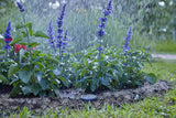 Cable de extensión Gardena (10 m) para sensor de lluvia y sensor de humedad del suelo, cable de conexión con sistema Easy Click, extensible hasta 105 m, para uso sobre y bajo tierra (01868-20)