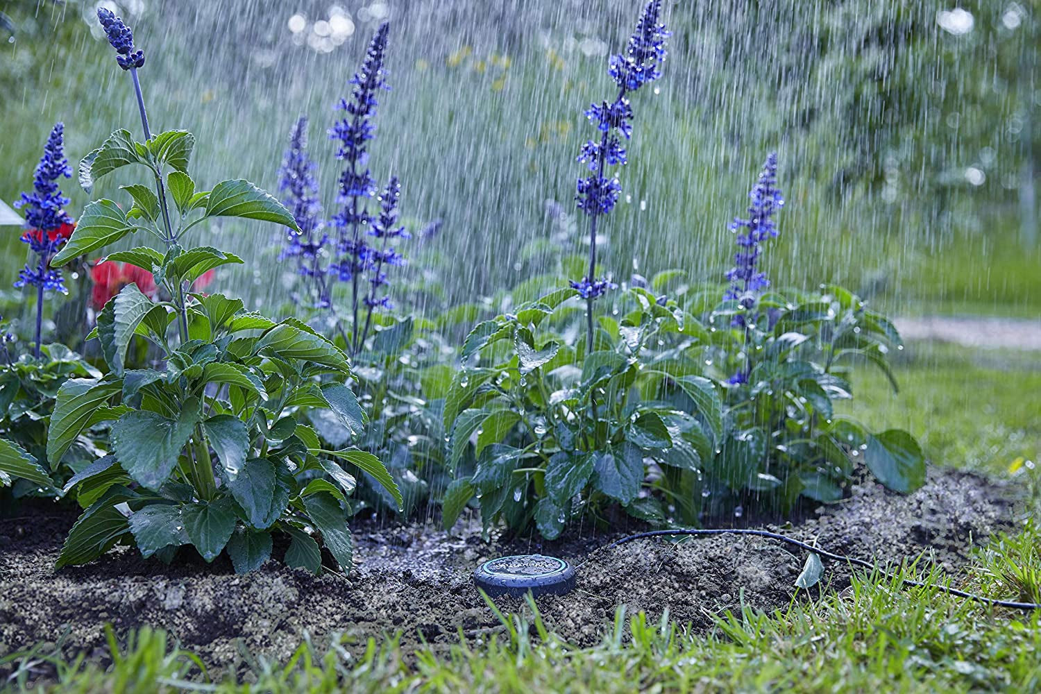Cable de extensión Gardena (10 m) para sensor de lluvia y sensor de humedad del suelo, cable de conexión con sistema Easy Click, extensible hasta 105 m, para uso sobre y bajo tierra (01868-20)