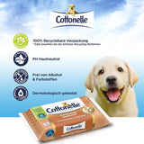 Toallitas húmedas, My Spa Experience - Cachemira y manteca de karité, biodegradables, sin plástico, resellables, paquete económico, 12 x 42 toallitas húmedas