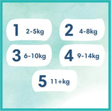 Pañales Pampers para bebé, tamaño 2 (4-8 kg), Harmony, caja de media luna, protección suave para la piel e ingredientes herbales, 240 unidades