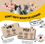 Dogs'n Tiger Schlemmermenü Glückskind, Nassfutter für Kätzchen, saftiges Hun und Forelle - ohne Getreide, Zuckerzusatz, künstliche Konservierungsstoffe, optima Verträglichkeit, 12x 200g