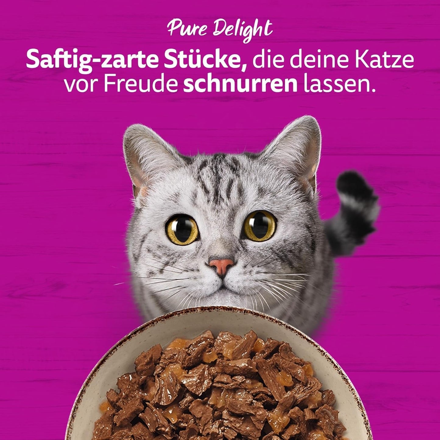 WHISKAS PURE DELIGHT Comida húmeda en gelatina 24 x 85g Ragú clásico (4 paquetes) 48 sobres racionados