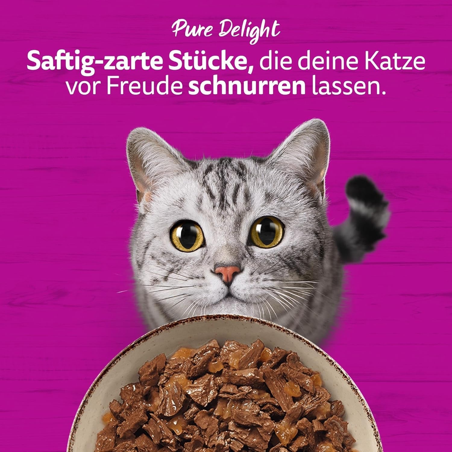 WHISKAS PURE DELIGHT Comida húmeda en gelatina 24 x 85g Ragú clásico (4 paquetes) 48 sobres racionados