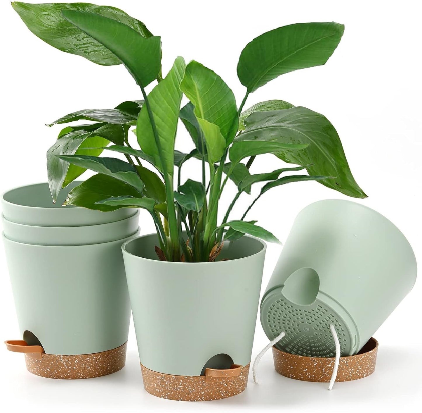 Macetas 6 Piezas Macetero con autorriego de 12,7 cm Macetero de Alto Drenaje para Interiores y Exteriores con Bandeja de depósito y Borde de Riego Macetero de jardín